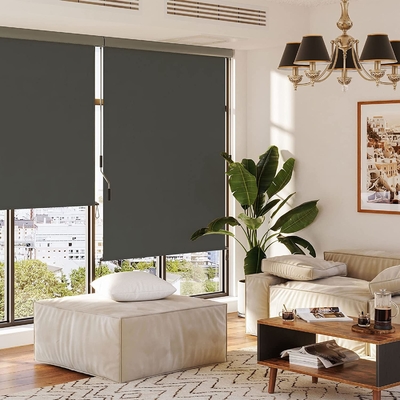 Balcony and Patio Vertical Awning, External Roller Blinds with Hand-c 14777ranked, Awning box ,UV Protection Drop Awning
